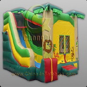 inflatable bounce house combo